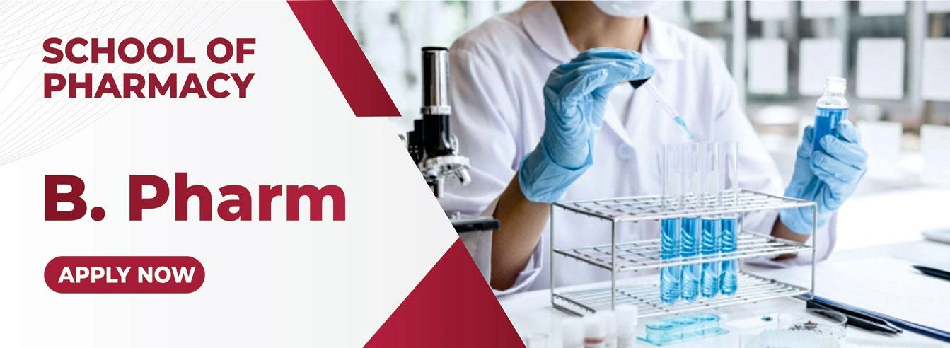 BA LLB at School of Law